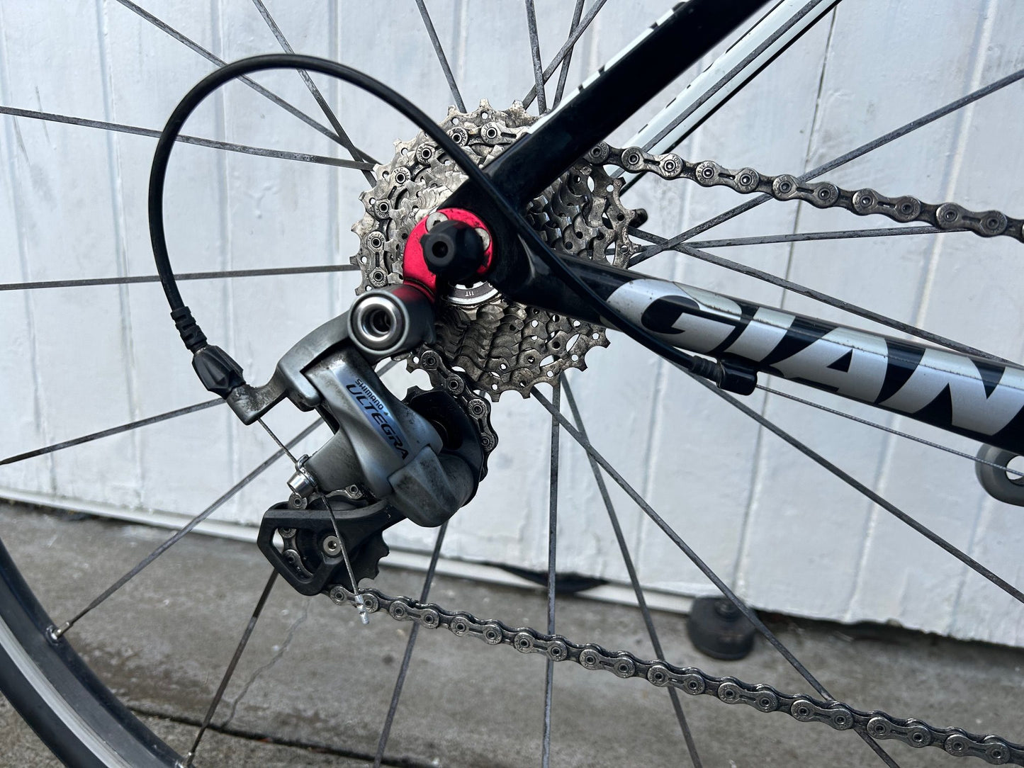 Giant TCR Alliance (Ultegra) - XS/Small