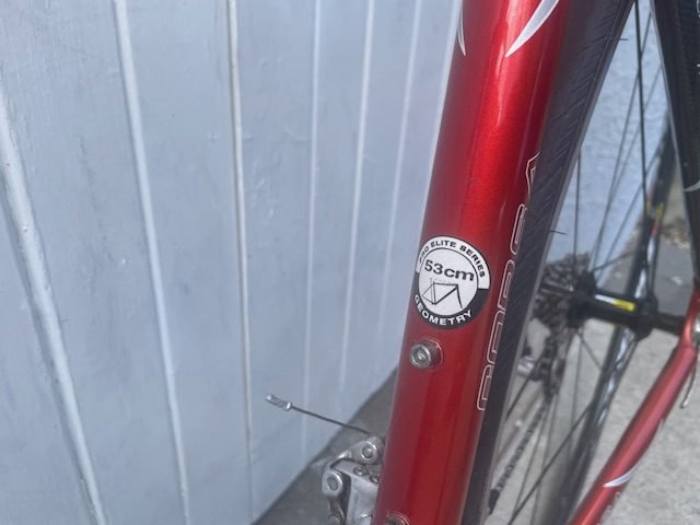 Avanti Corsa (Ultegra) - Medium