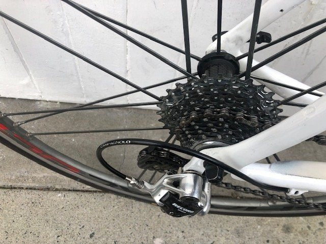 Pinarello Prince Carbon Campag Record (Shamal Wheels) - Large