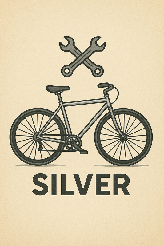 BIKE SERVICING - SILVER