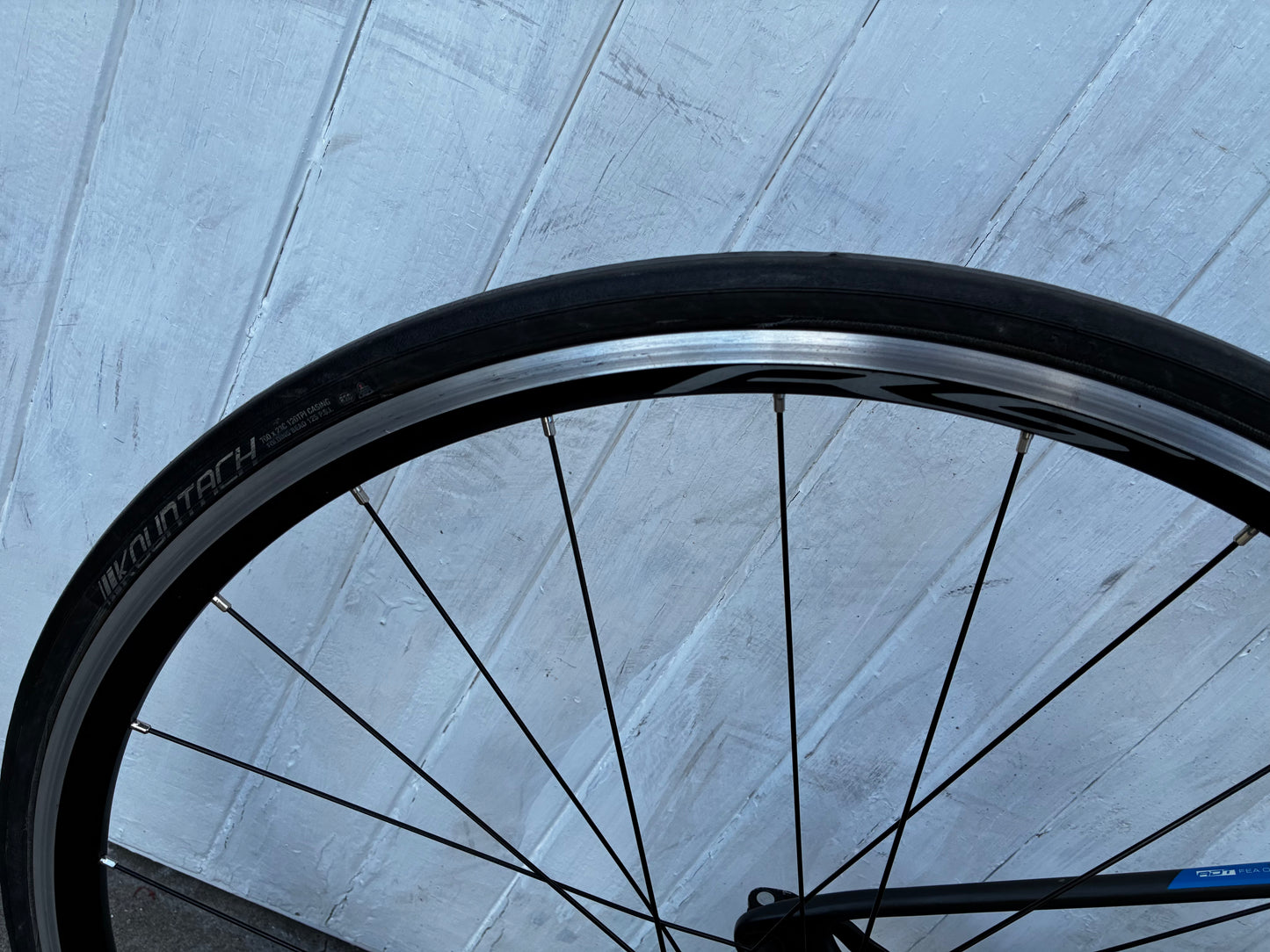 Avanti Corsa SL - Medium