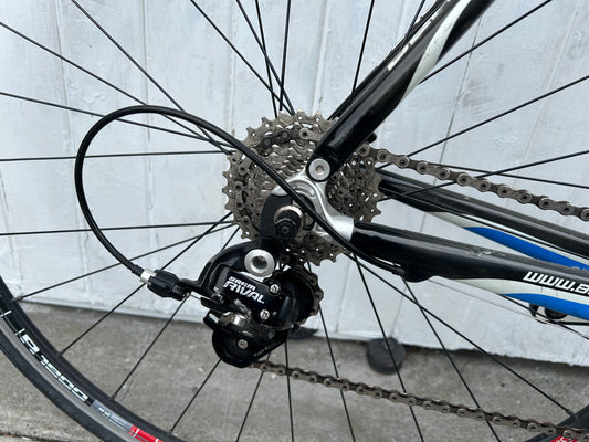 Bergamont Dolce Team Carbon - Medium