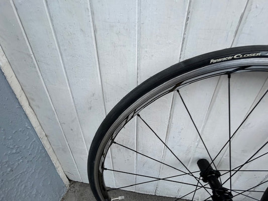 Shimano RS81 Wheelset - 11 Spd