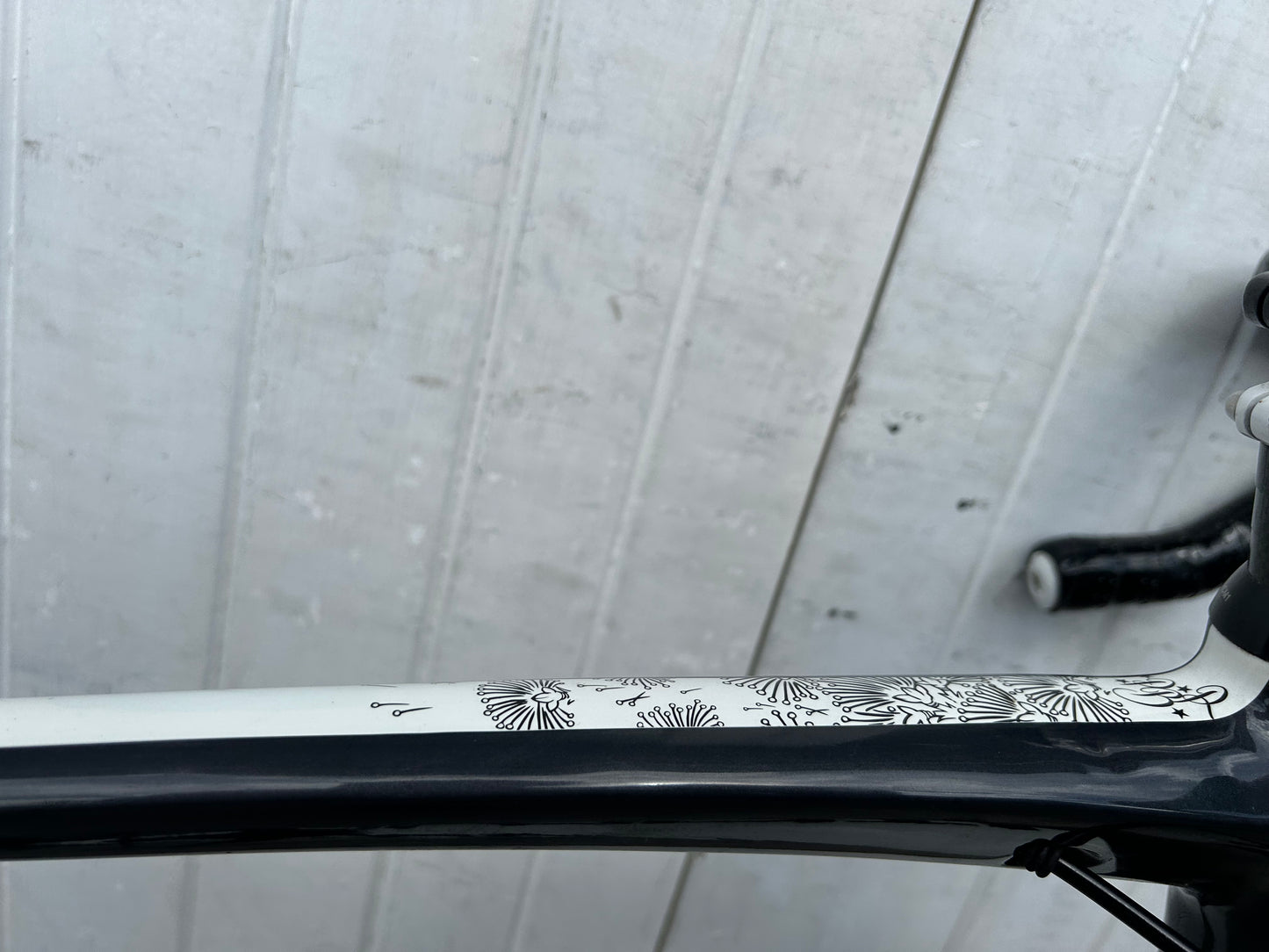 Avanti Cadent Di2 - M/L