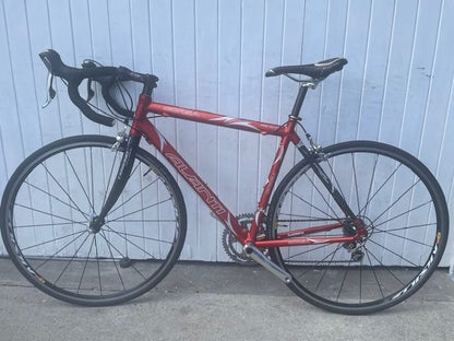 Avanti Corsa (10 Spd Ultegra) - Medium
