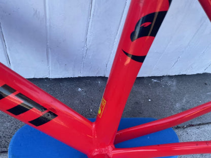Avanti Pista Pro track frame - Small