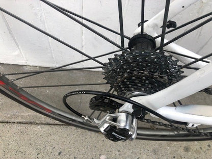 Pinarello Prince Carbon Campag Record (Shamal Wheels) - Large