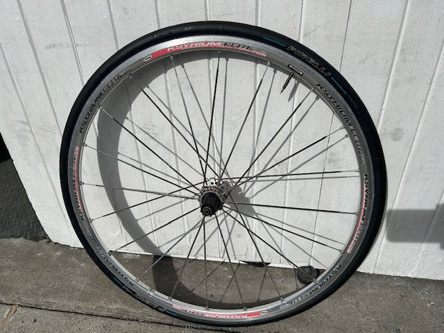 Mavic Ksyrium Elite Campagnolo Rear Wheel - 10/11 Spd