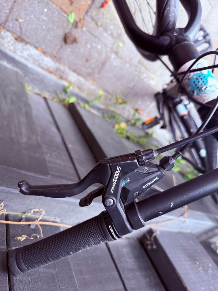 Cannondale Fatty Urban Commuter/Gravel DISC - Medium (PICK UP HAWKES BAY)