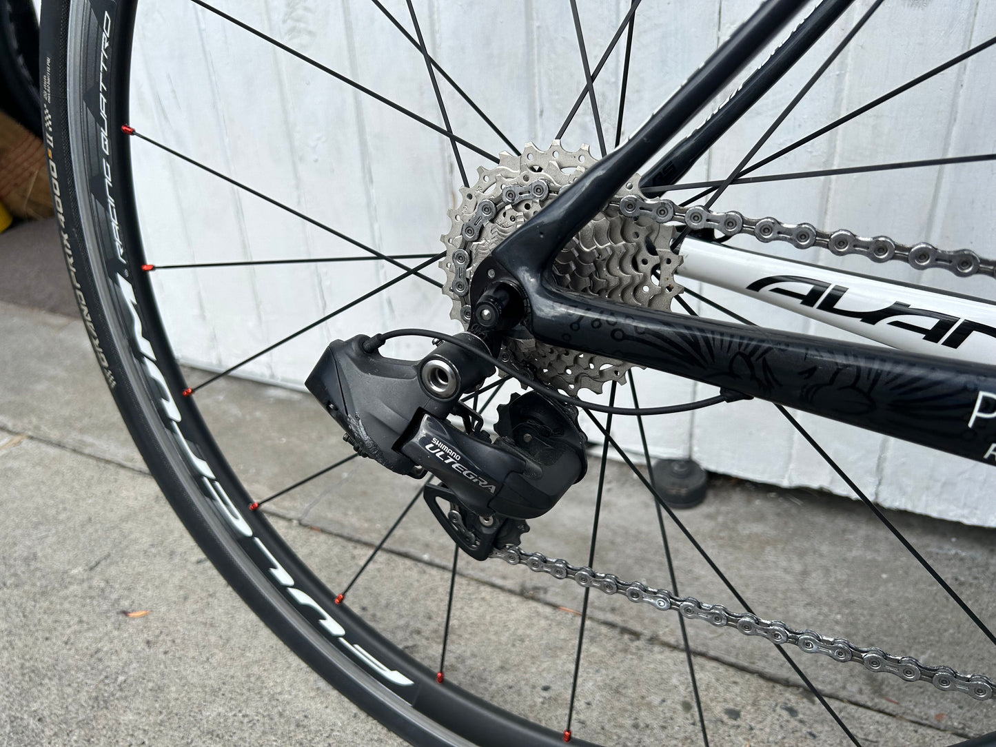 Avanti Cadent Di2 - M/L