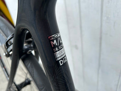 Avanti Cadent Di2 - M/L