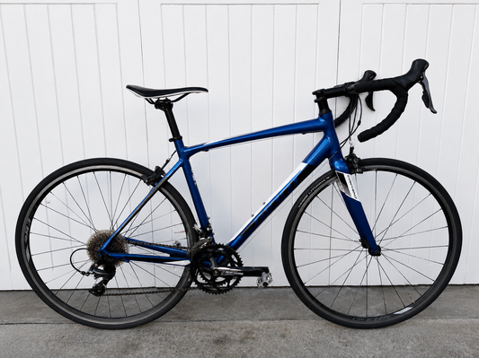 Giant Contend - M