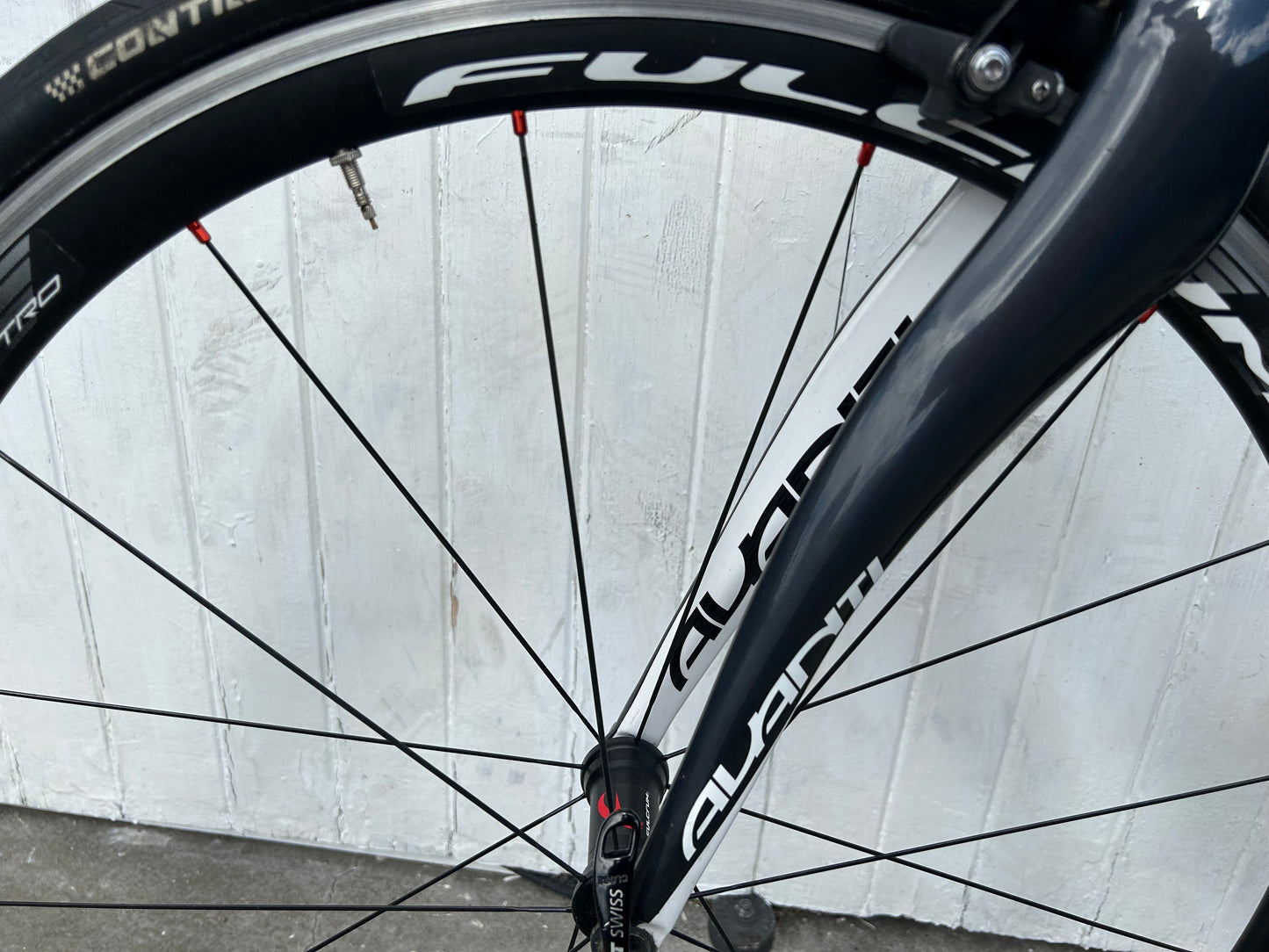 Avanti Cadent Di2 - M/L