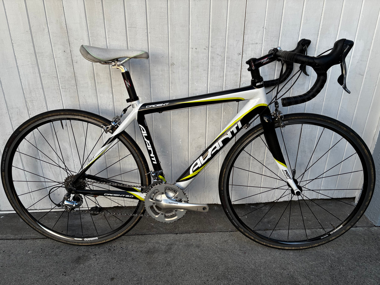 Avanti Cadent (105) - S/M