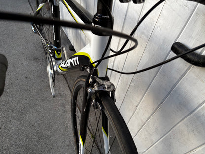 Avanti Cadent (105) - S/M