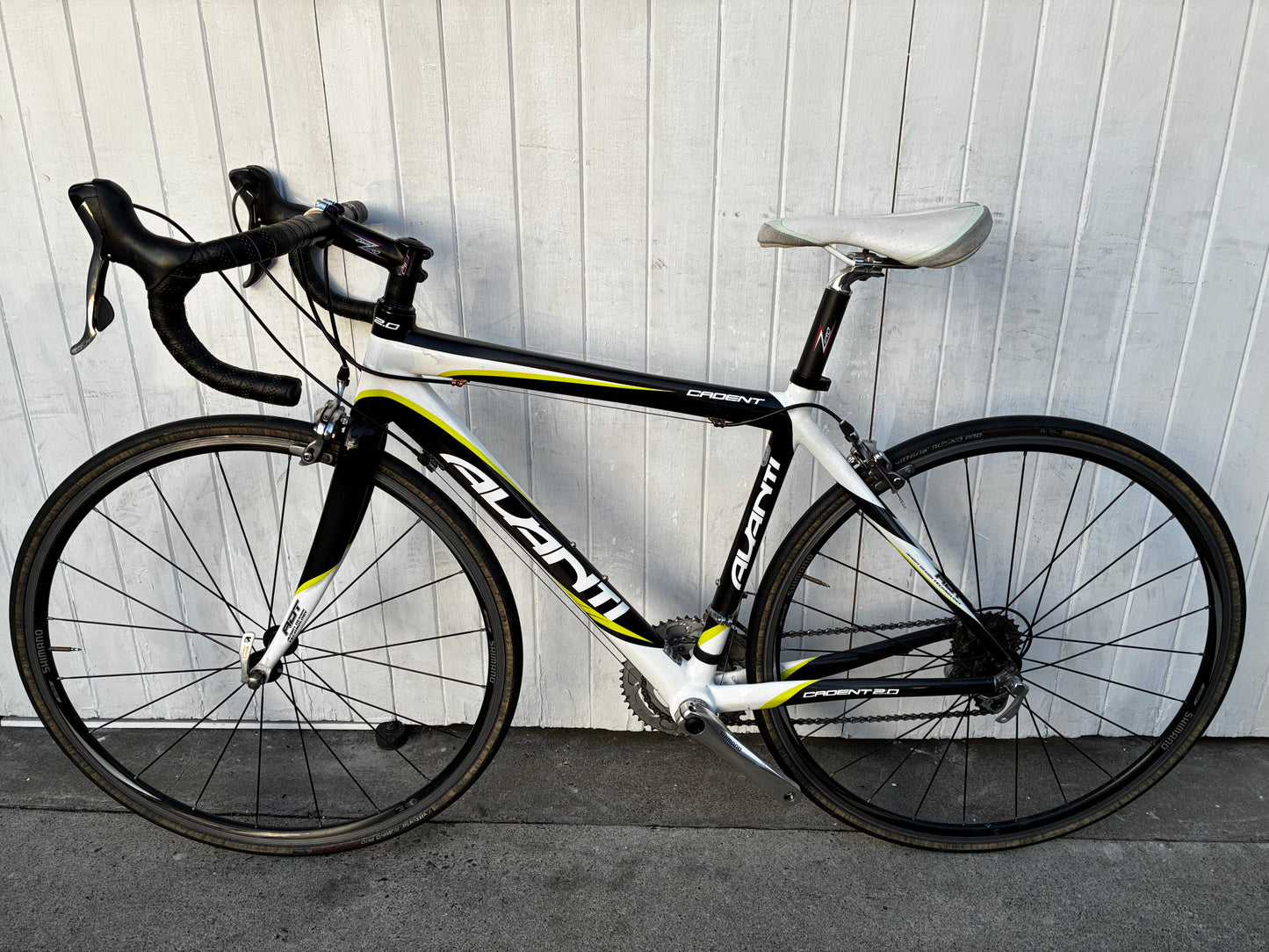 Avanti Cadent (105) - S/M