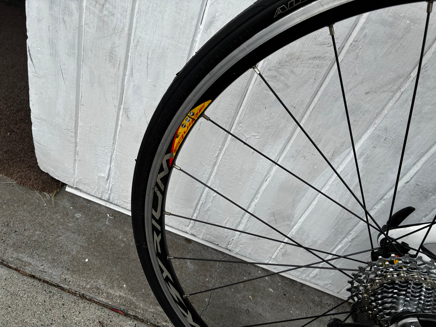 Ceepo Venom TT (11Spd Ultegra) - Medium