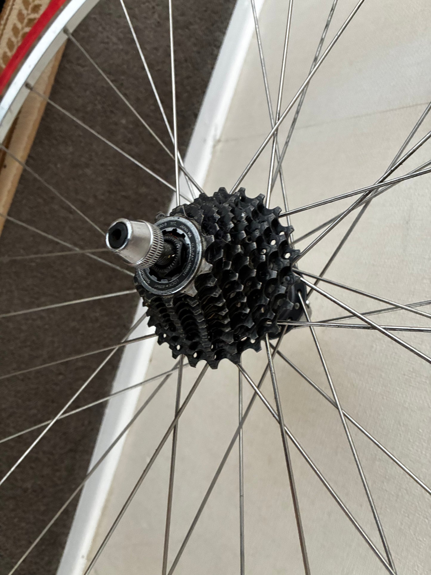 Trainer Wheel only