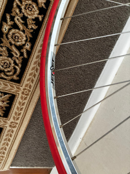 Trainer Wheel only