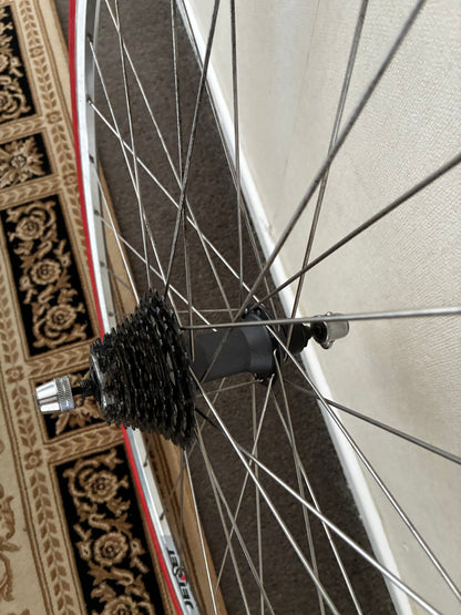 Trainer Wheel only