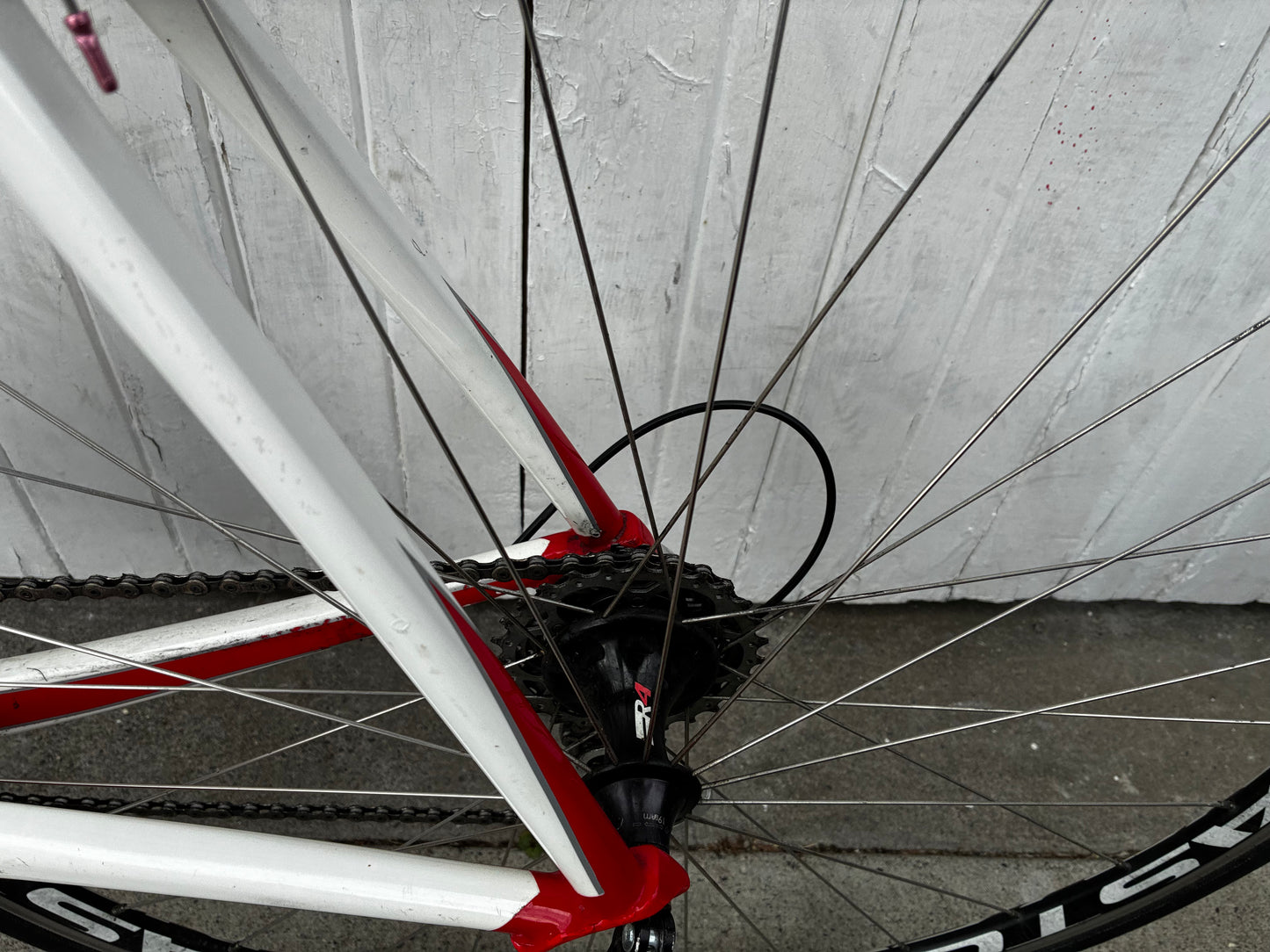 De Rosa Merak Carbon (Campag) – Medium/Large