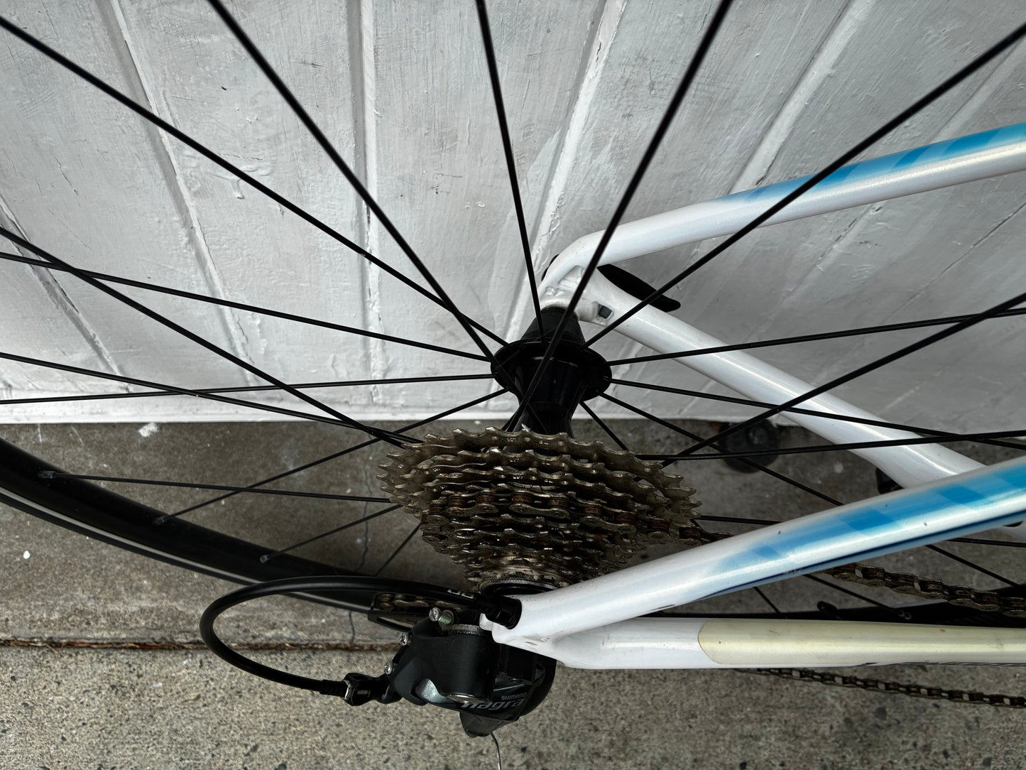 Giant/Liv Langma Womens Carbon (Ultegra) - Medium