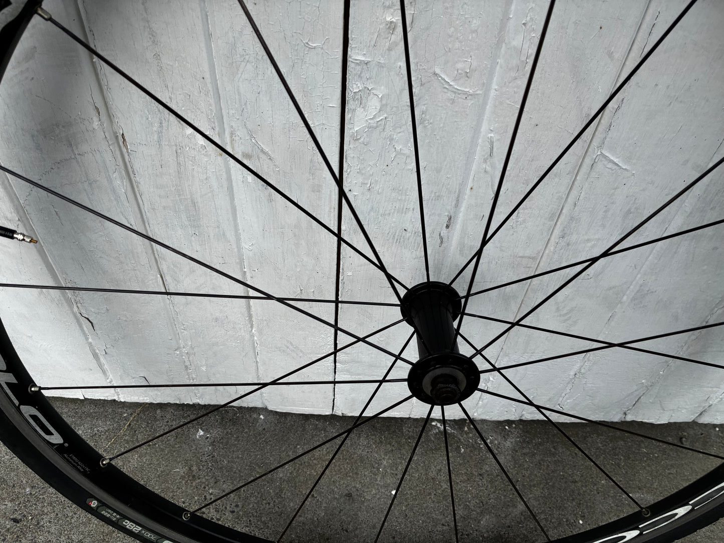 Campagnolo Scirocco clincher Wheelset - 10 Spd