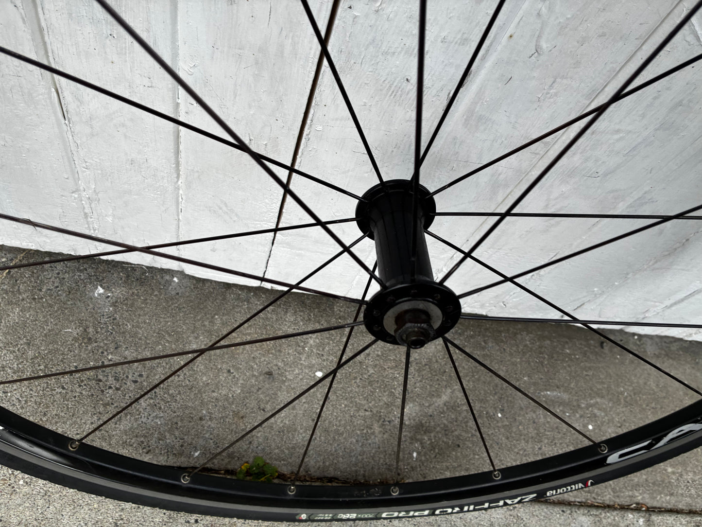 Campagnolo Scirocco clincher Wheelset - 10 Spd