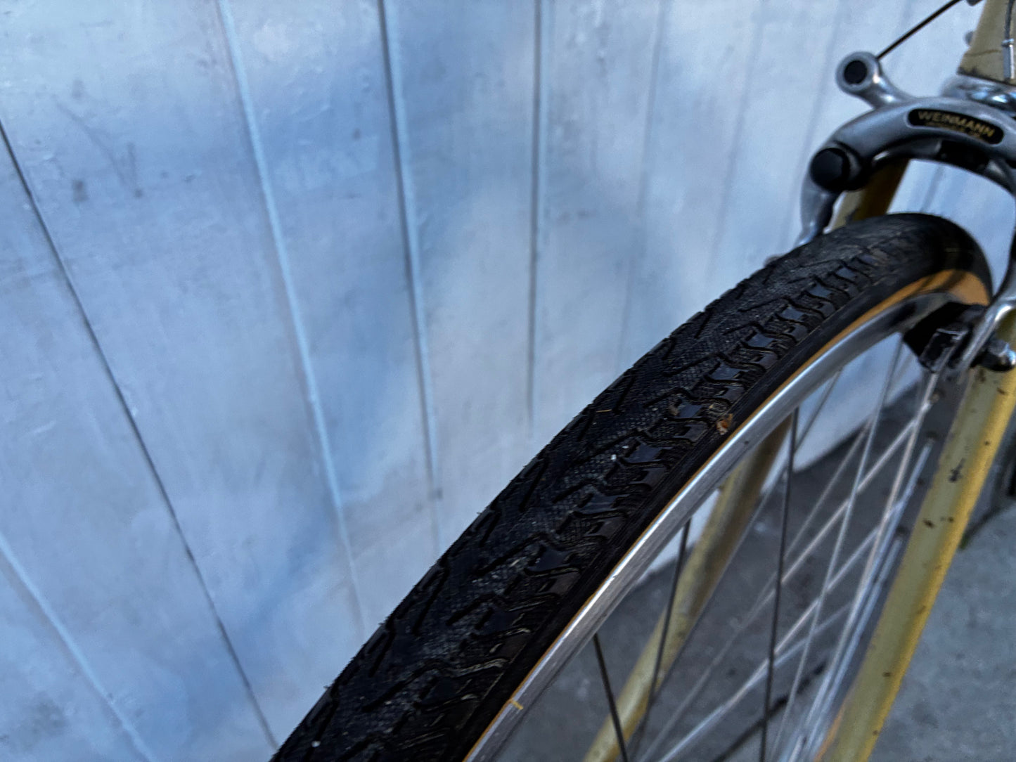 Claude Butler Majestic Vintage Path Racer/Gravel - XL