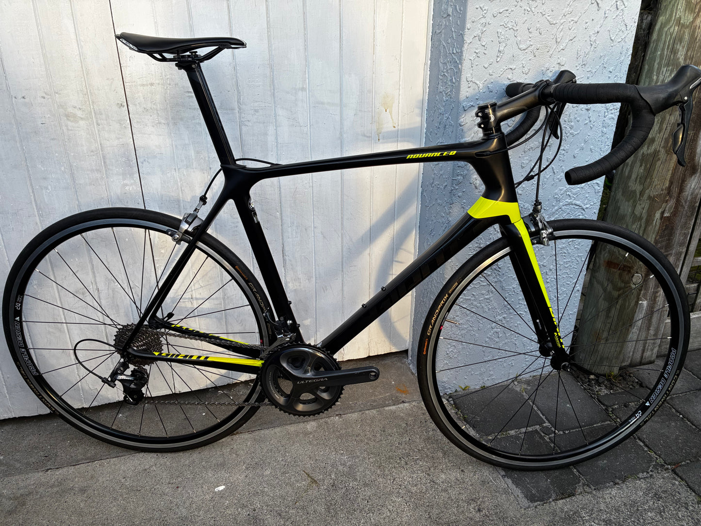Giant TCR Advanced (11Spd Ultegra) - M/L