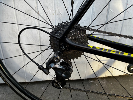 Giant TCR Advanced (11Spd Ultegra) - M/L