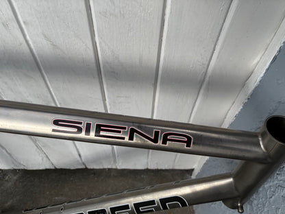 Litespeed Siena Titanium PROJECT frame - Medium