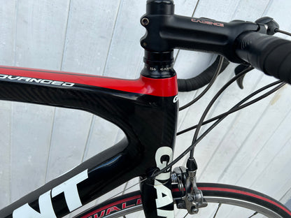 Giant TCR Advanced (105) - M/L