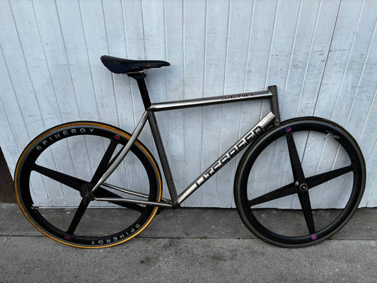 Litespeed Siena Project frame - M