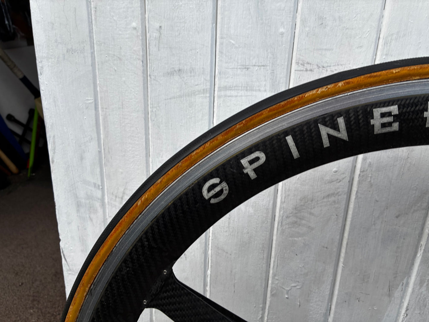 Litespeed Siena Project frame