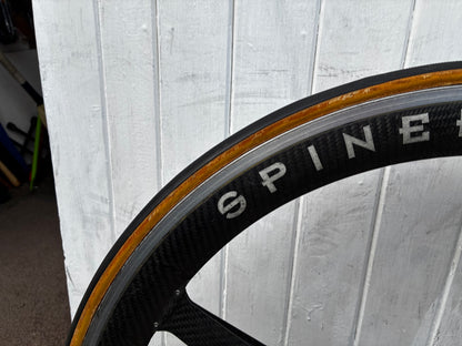 Litespeed Siena Project frame