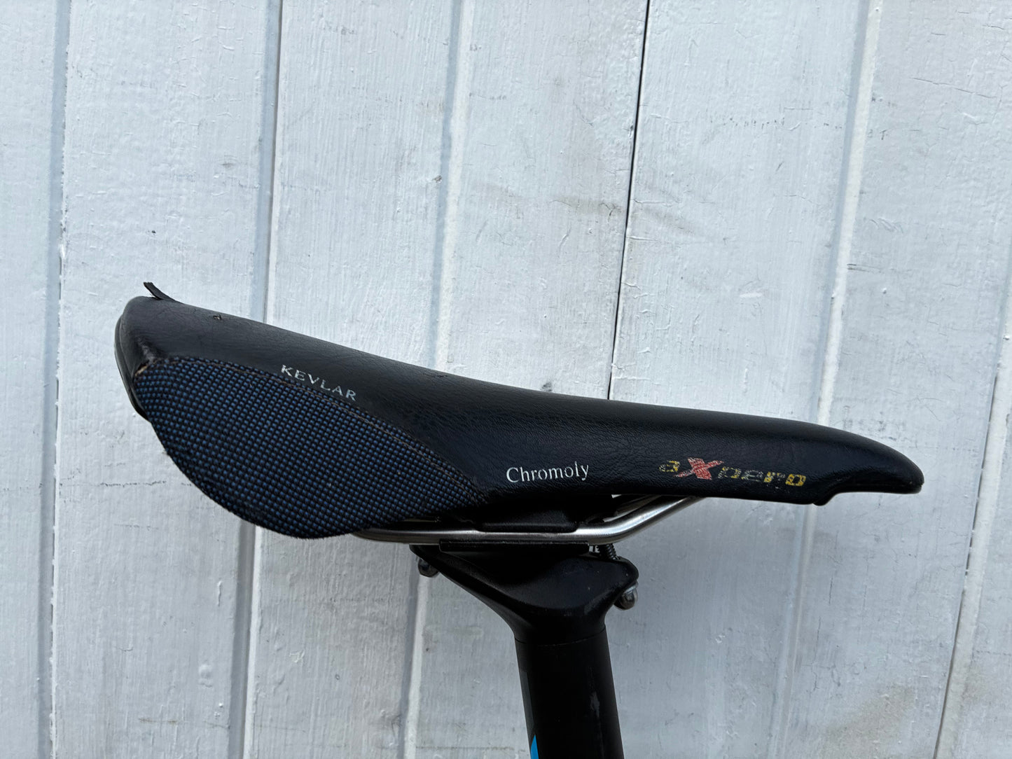 Litespeed Siena Project frame