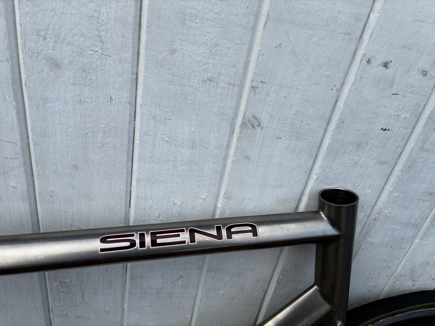 Litespeed Siena Project frame