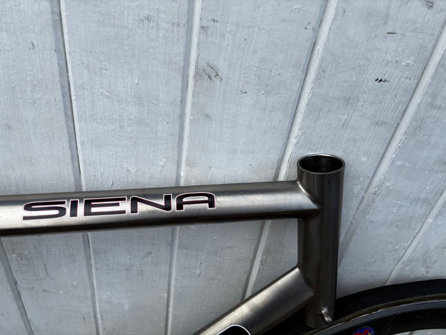 Litespeed Siena Project frame