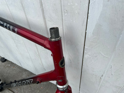 Giant Cadex CFR2 Carbon FRAMESET - XXL