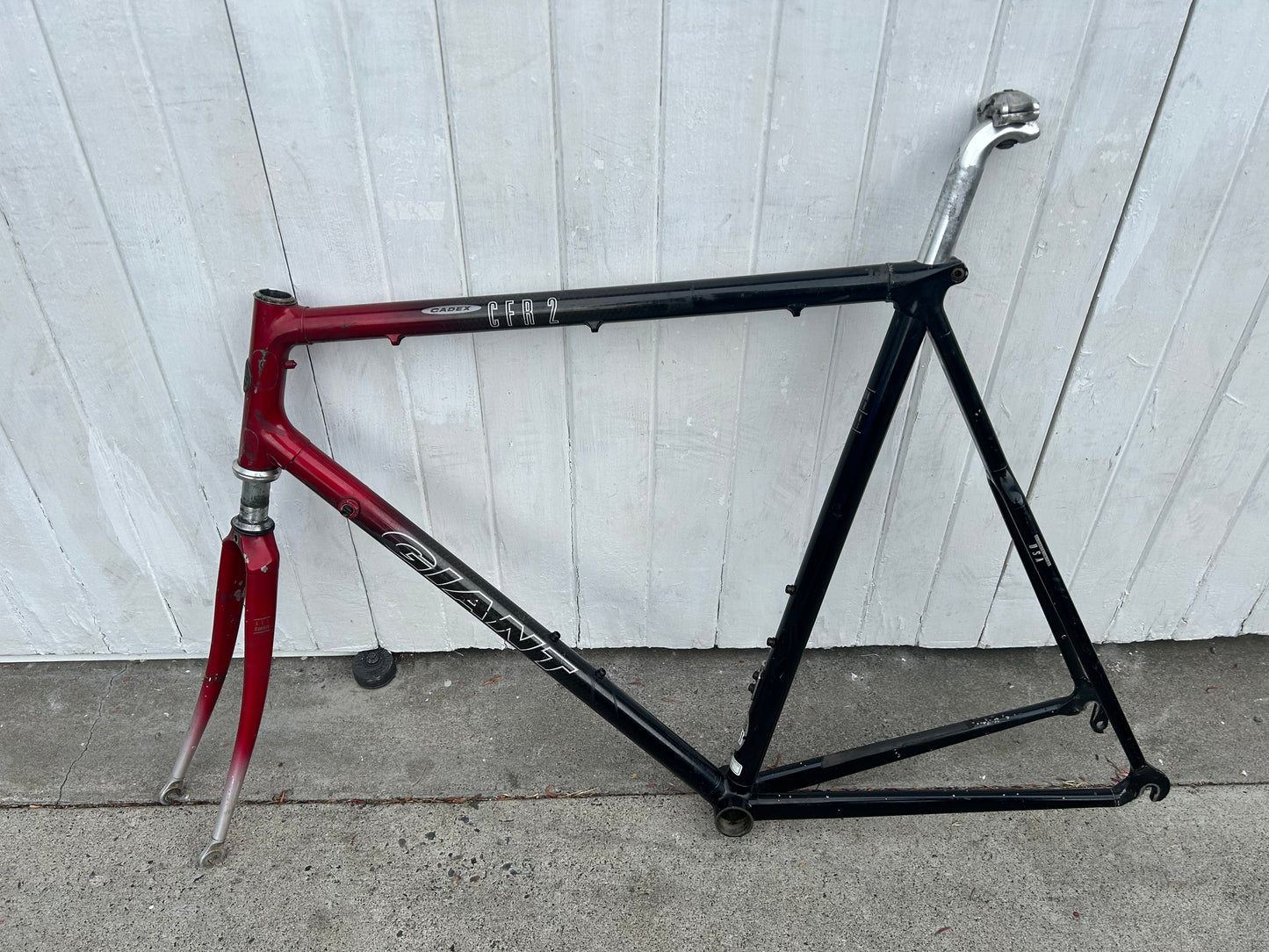 Giant Cadex CFR2 Carbon FRAMESET - XXL