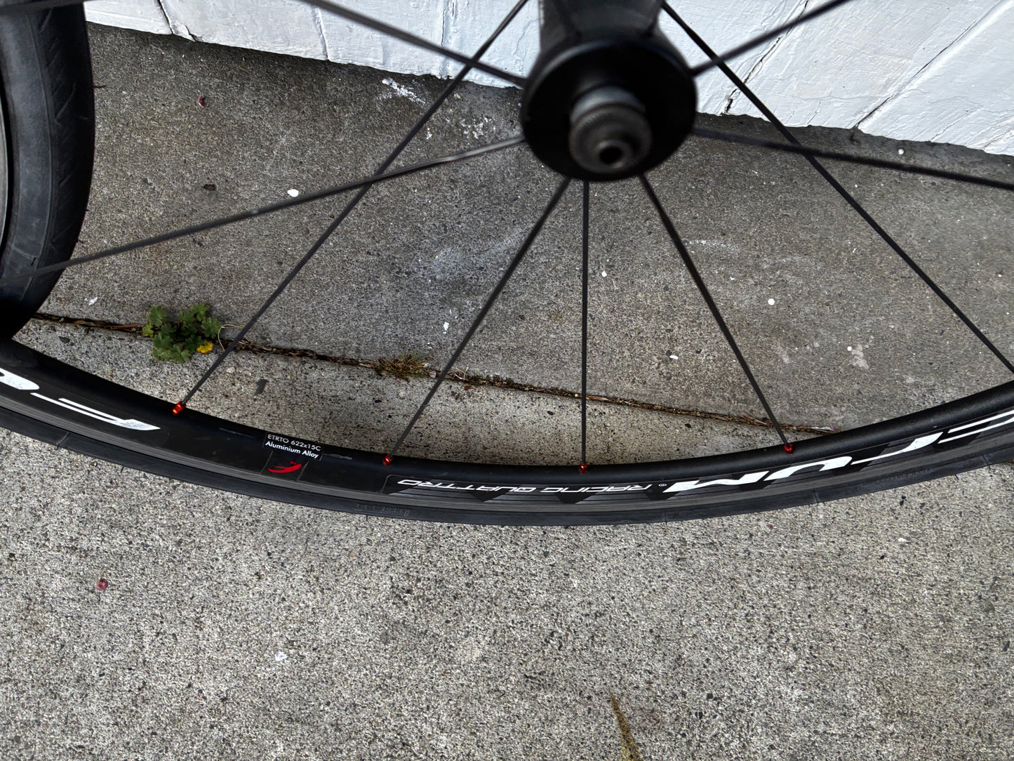 Fulcrum Racing Quattro - 11 Spd