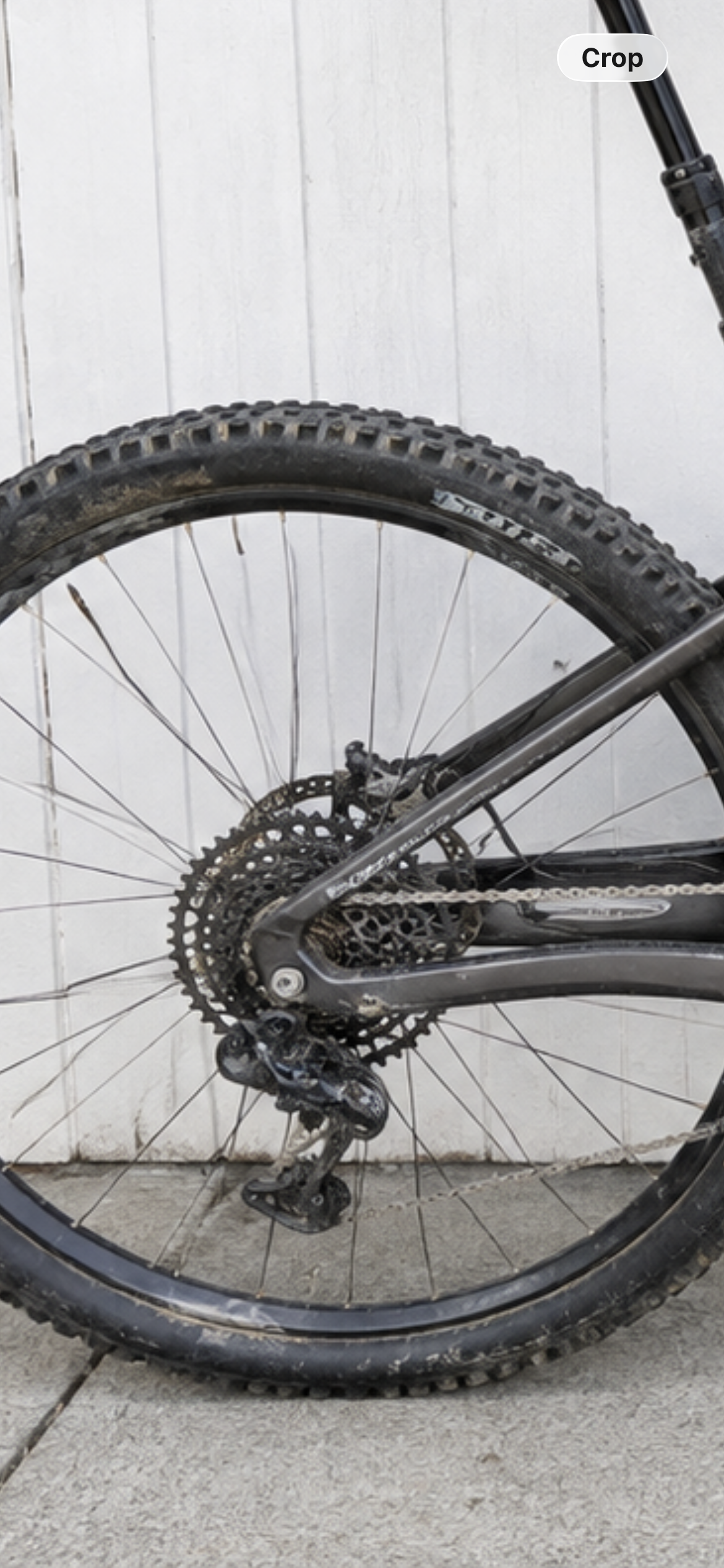 Mondraker SuperFoxy RR Carbon 29 DISC MTB - Large