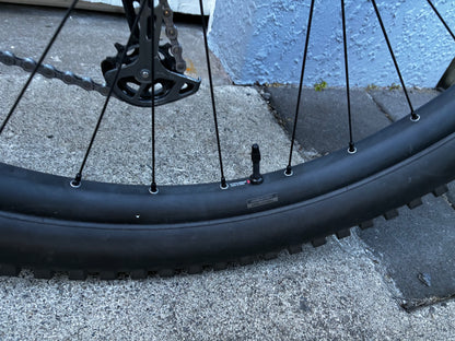 Giant Trance X Carbon E+2 E-Bike 29” DISC MTB - Medium (PICK UP TAUPŌ)