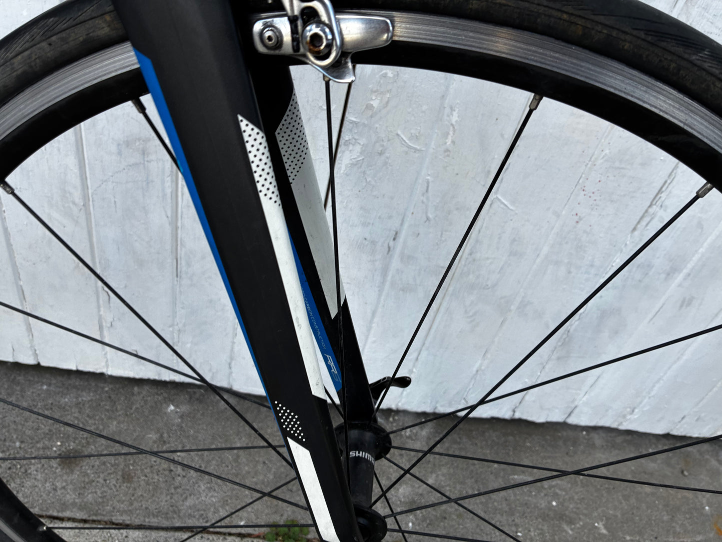 Avanti Corsa SL - Medium