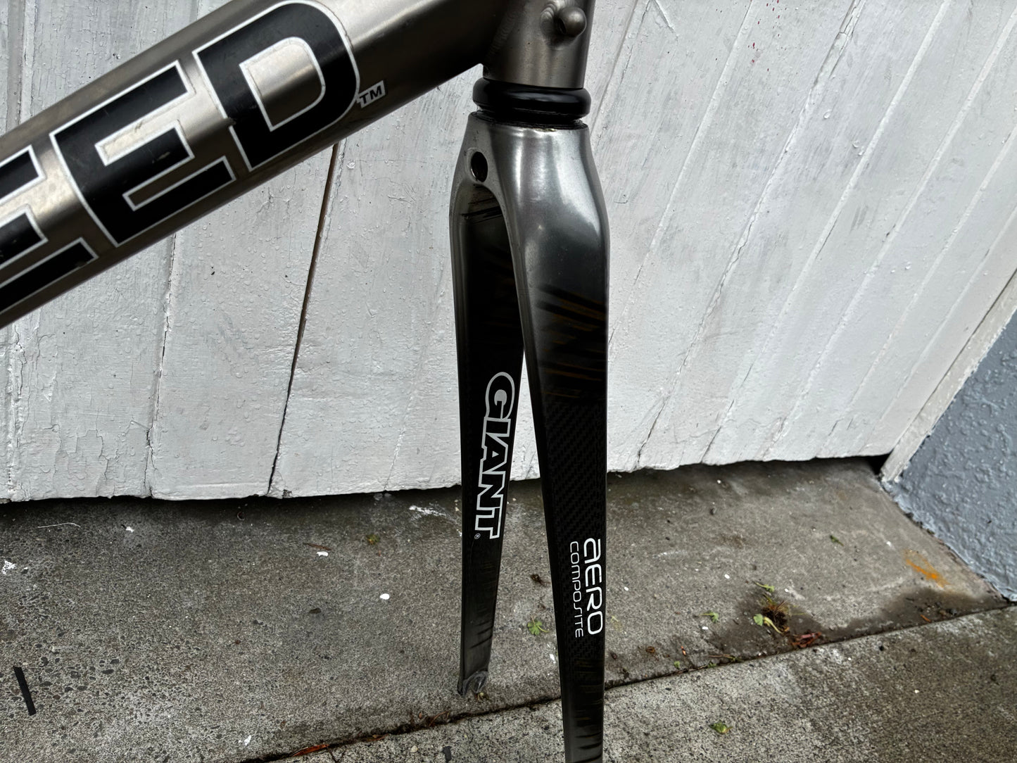 Litespeed Siena Titanium PROJECT Frameset - Medium