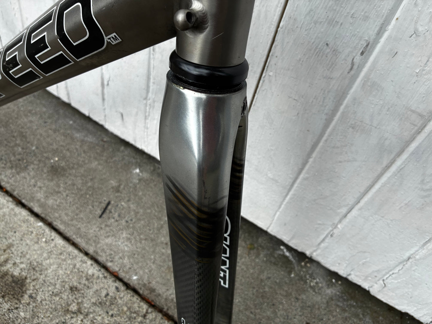 Litespeed Siena Titanium PROJECT Frameset - Medium