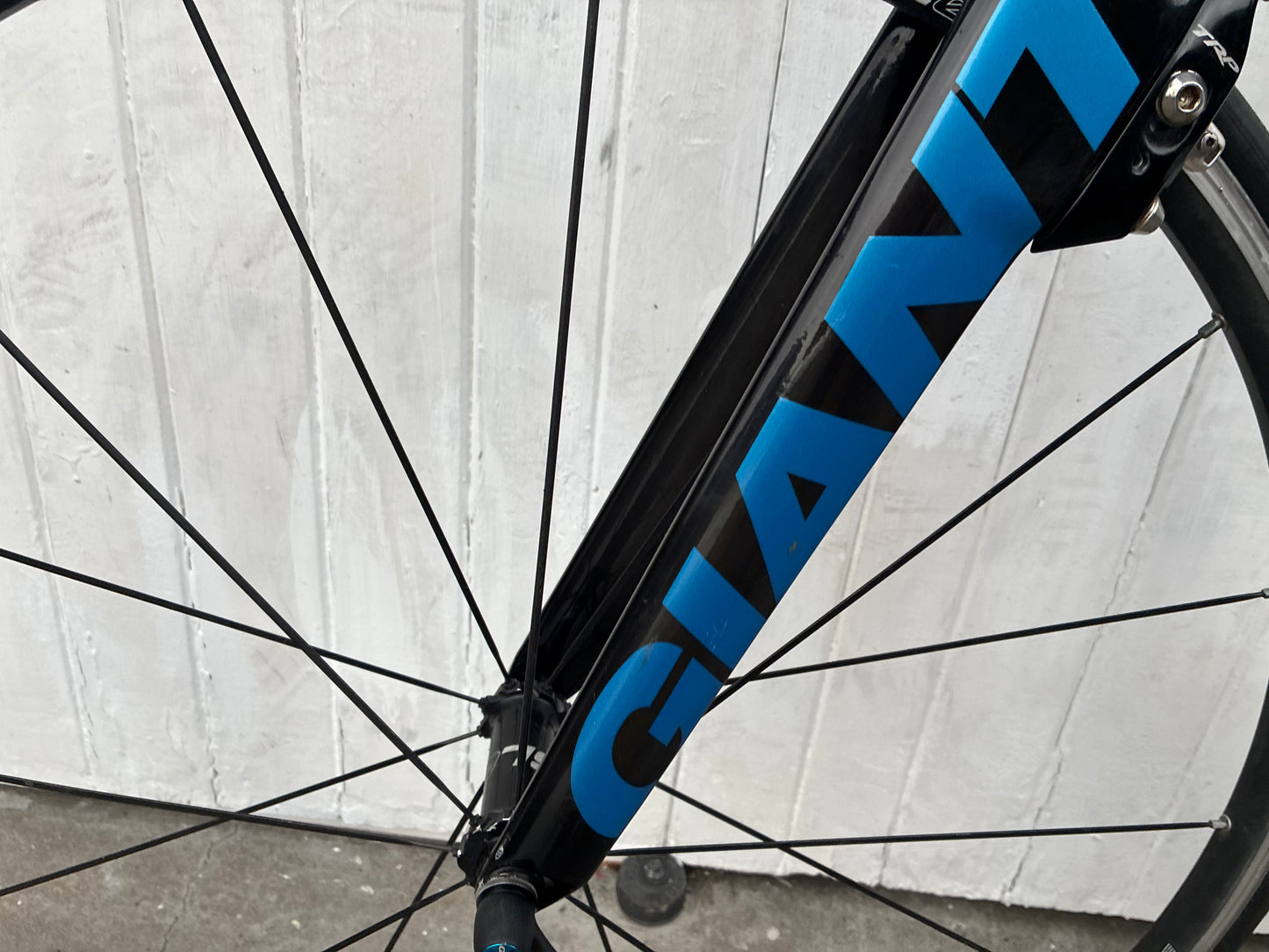Giant/Liv Trinity Womens Carbon TT (11 Spd) - S/M