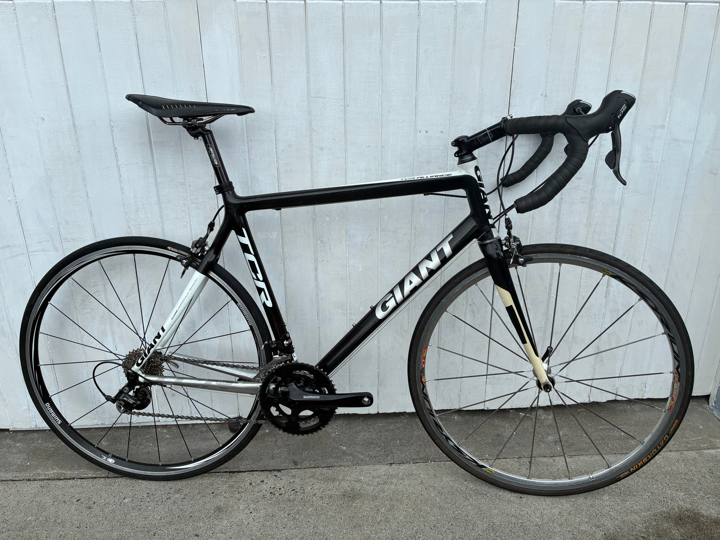 Giant TCR Alliance (105) - Large