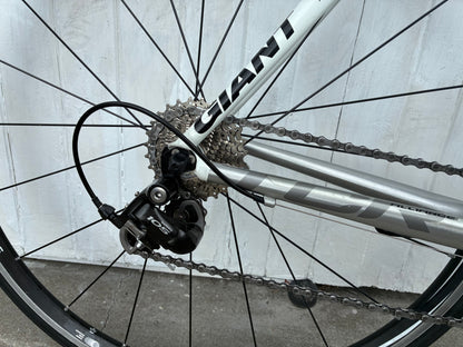 Giant TCR Alliance (105) - Large